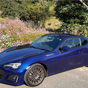 BRZ ZC6