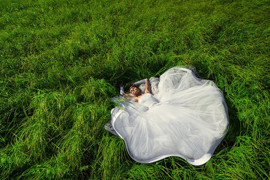 Wedding photographer Vera Pavlova (dolphina). Photo of 25 November 2013