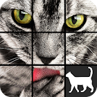 Cat Slide Puzzle 1.02