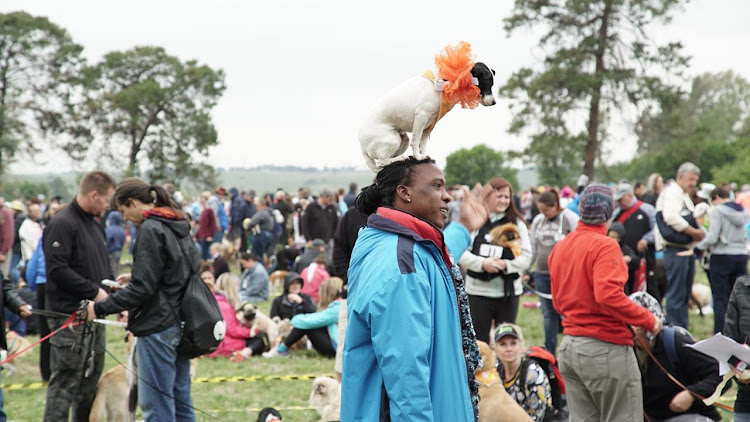 Hundreds of dogs gathered from across Gauteng on The Big Red Barn Farm to break a world record.