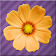 Fleurs Quiz icon