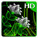 Neon Flowers Live Wallpaper icon