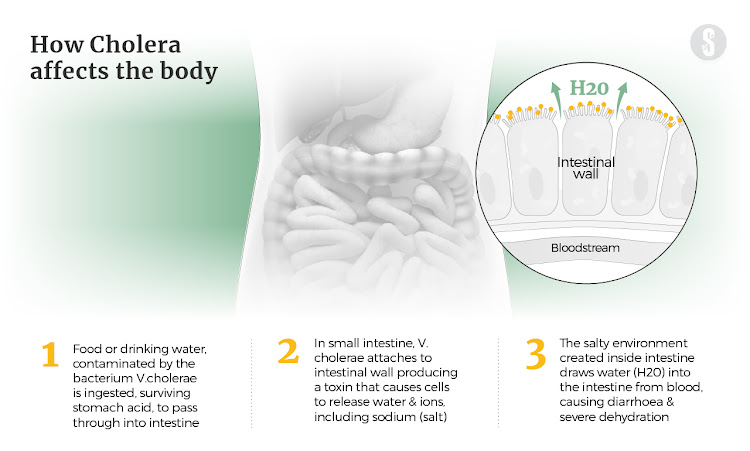 Nairobi faced a threatening cholera outbreak in 2017.