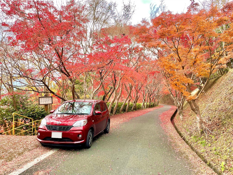 ブーンのDAIHATSUブーン・もみじ狩り・秋を探しに・龍王公園の紅葉に関するカスタム事例の投稿画像1枚目