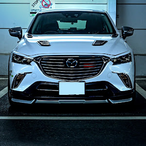 CX-3 DK5FW