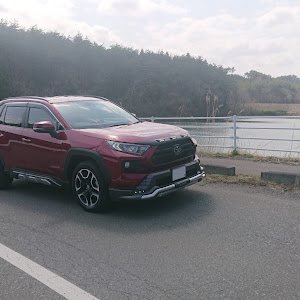 RAV4 MXAA54