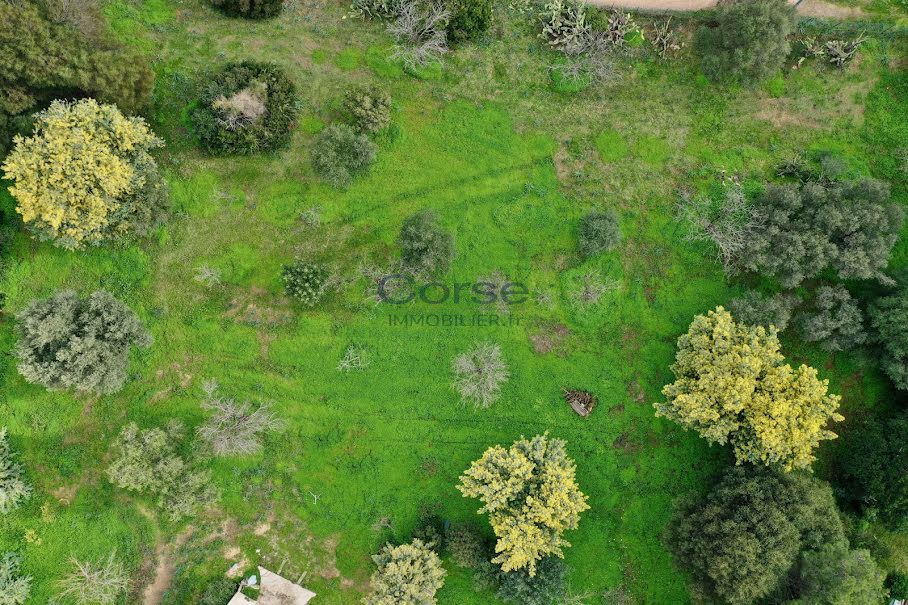 Vente terrain à batir  1142 m² à Peri (20167), 200 000 €