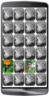 Butterfly matching Screenshots 4