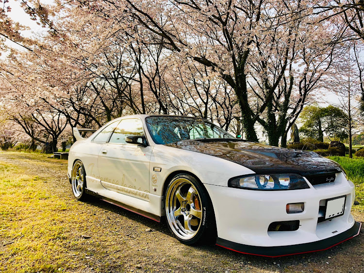 スカイラインの桜・スカイラインに関するカスタム事例の投稿画像1枚目