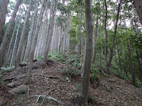 ここから尾根を進む