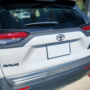 RAV4 MXAA54