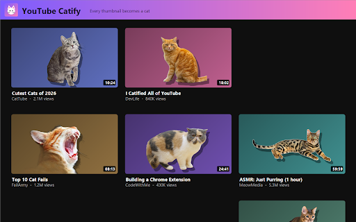 YouTube Catify screenshot 2