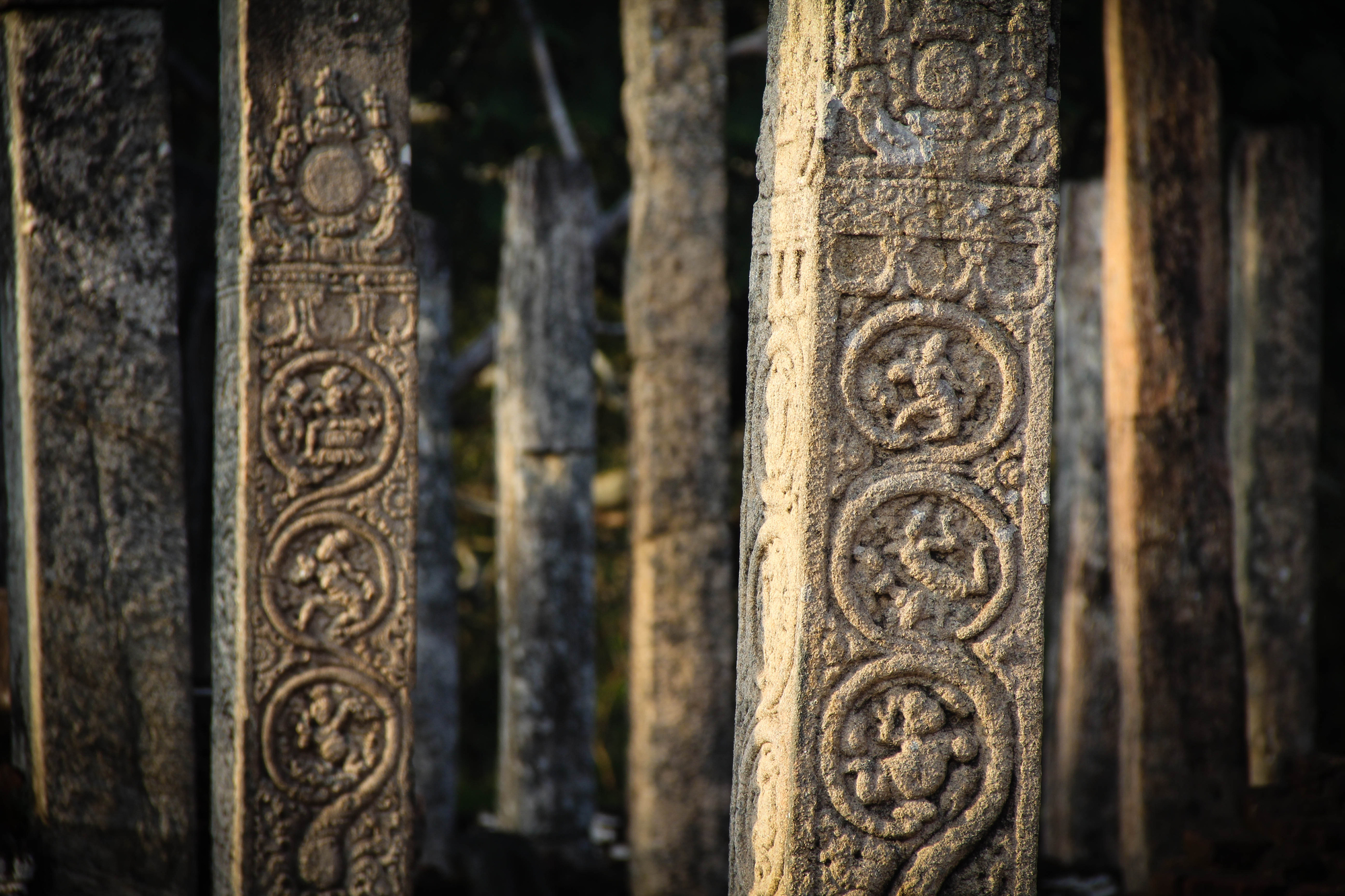 Polonnaruwa di vlao