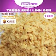Trứng Ruồi Lính Đen Hộp 1Gam - Hoàn Tiền 100% Nếu Không Hài Lòng