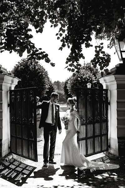 Fotógrafo de casamento Shibilkina Mariya (shibilkinafoto). Foto de 17 de outubro 2018