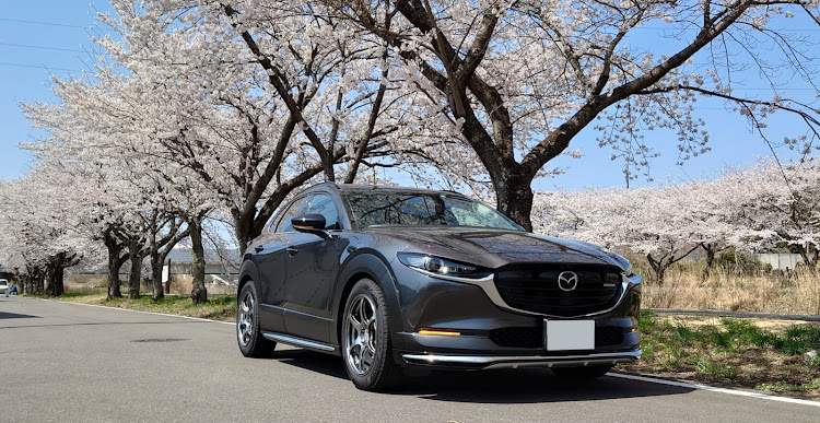CX-30のCX-30・桜とコラボ・AutoExe・ADVAN Racingに関するカスタム事例の投稿画像2枚目