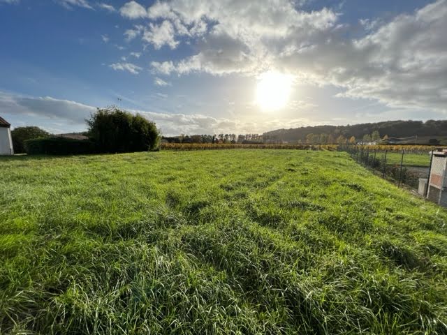 Vente terrain  1422 m² à Buzet-sur-Baïse (47160), 44 000 €