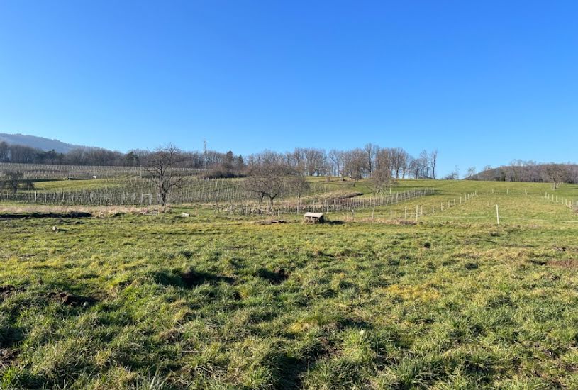  Vente Terrain à bâtir - 574m² à Wuenheim (68500) 