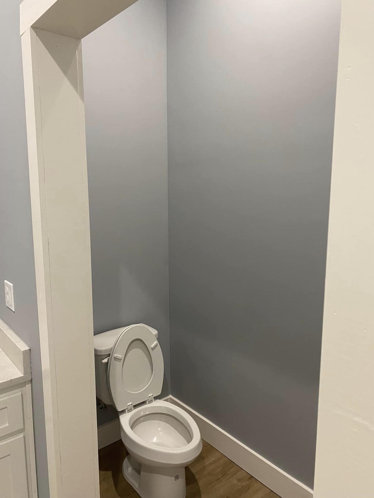 separate toilet area within the Alabama barndominium's bathroom