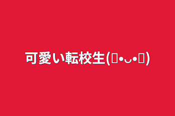 可愛い転校生(⑉•ᴗ•⑉)