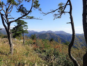 盤石の丘からの展望２（藤原岳・銚子岳・静ヶ岳・竜ヶ岳）