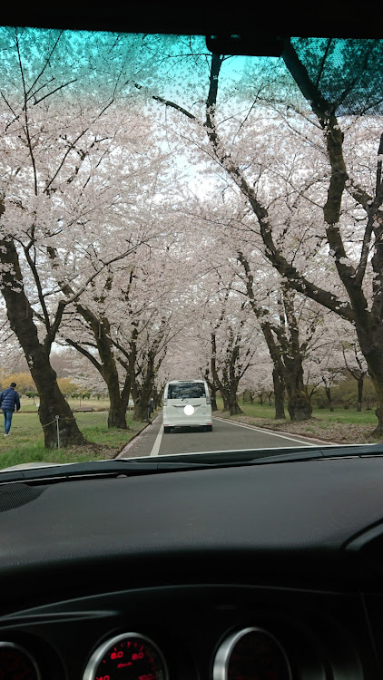 の投稿画像2枚目