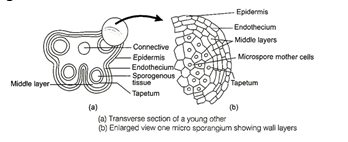 Solution Image