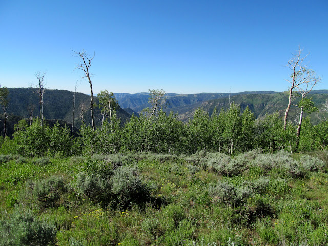 View from point 9,390'