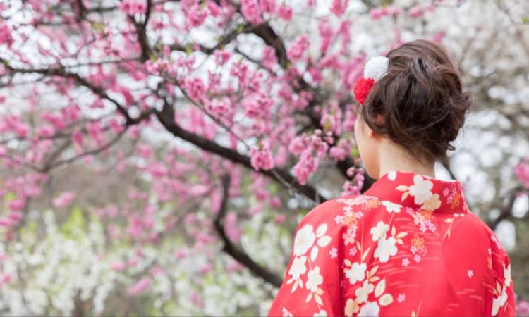 KazuGRANDさんが投稿した桜を見る会・おひとりさま撮影会・鶏白湯はどこ？・萌え萌えきゅんに関するカスタム事例の投稿画像1枚目