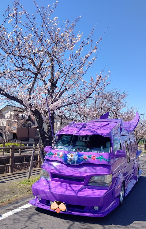 よっすぃ〜さんが投稿したバニング・桜に関するカスタム事例の投稿画像1枚目
