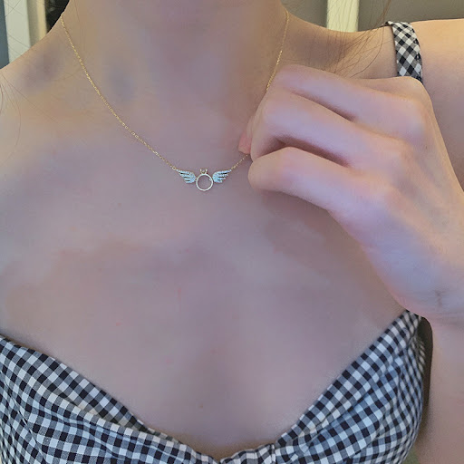 Title 2, 14k Gold Wing Necklace Female Clavicle Chain
