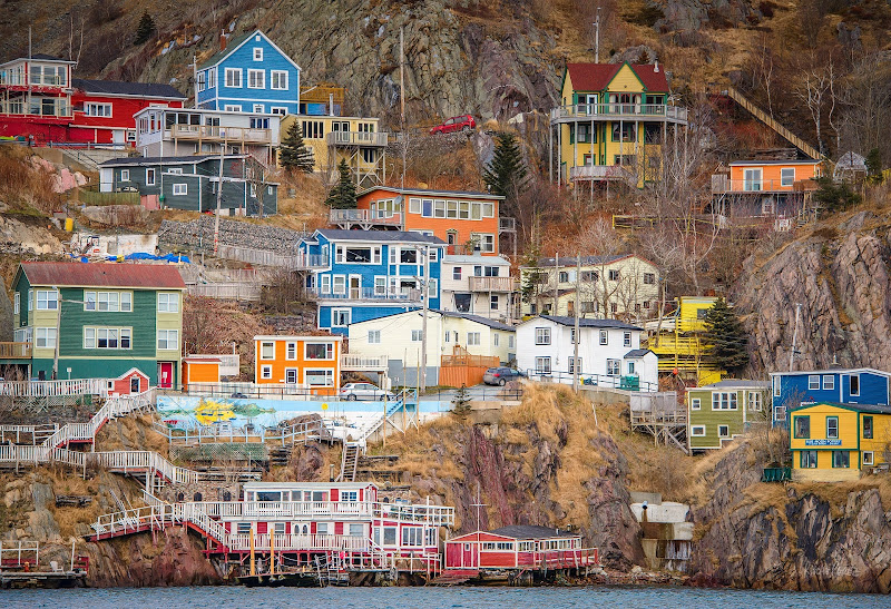 Brightly colored houses line the hillside of St. John's in Newfoundland, Canada. 