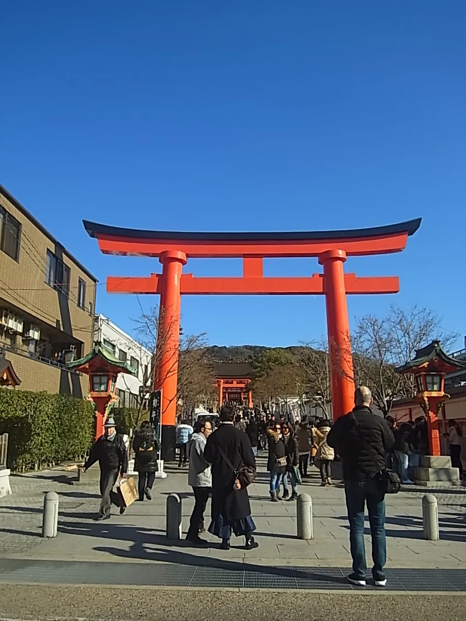 写真: