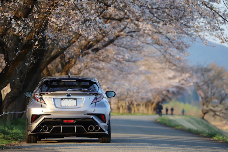 C-HRの角館河川敷・桜とコラボ・並木スペシャル・スポット発見・discover＿ctに関するカスタム事例の投稿画像4枚目
