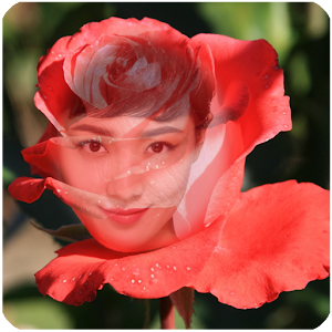 red rose frame transparent.apk 1.0