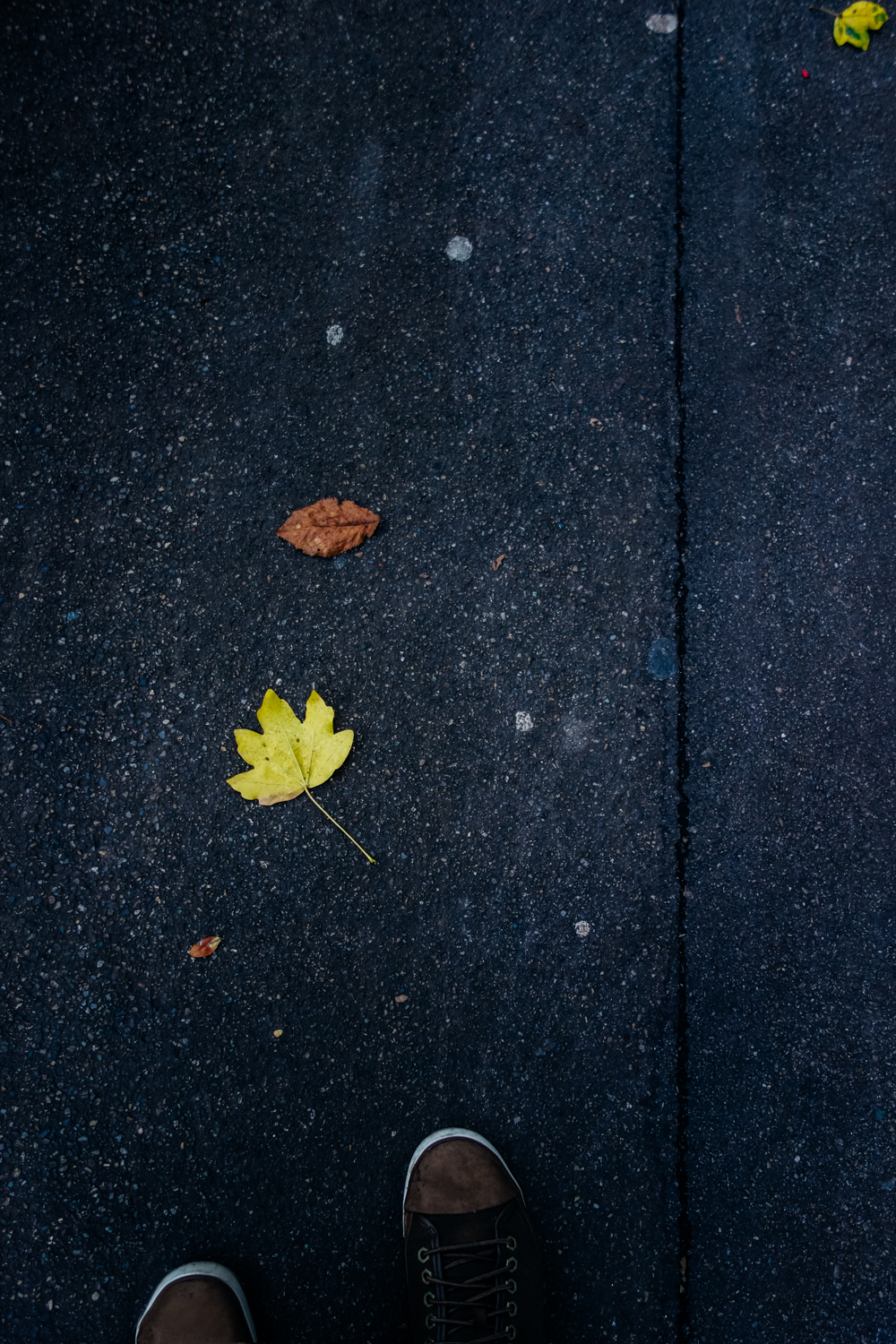 Inseguendo l'autunno di mariateresatoledo