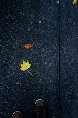 Inseguendo l'autunno di mariateresatoledo