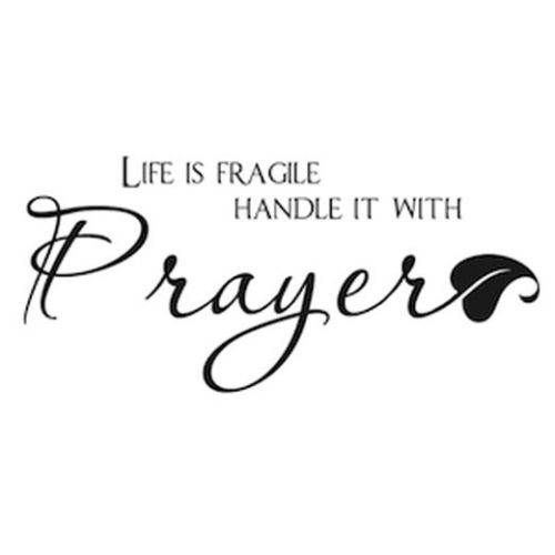 Title 5, Removable Vinyl Life Is Fragile Handle It With ...