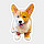 Corgi puppy Wallpapers Corgi puppy New Tab HD