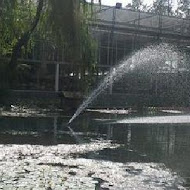 菁芳園 Tenway Garden／花園餐廳／落羽松