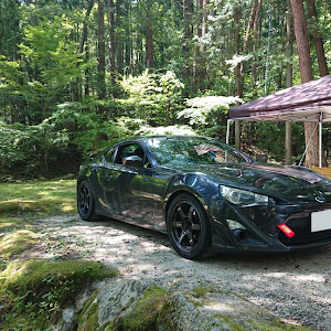 BRZ ZC6