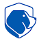 Item logo image for Beagle Security Web Assessment