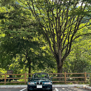 Z3