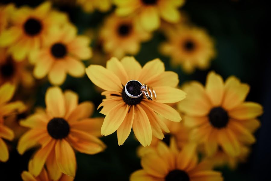 Vestuvių fotografas Tori Vickers (dandelionwedding). Nuotrauka 2023 rugsėjo 23