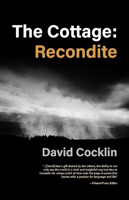 The Cottage: Recondite cover