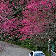 大山背客家人文生態館