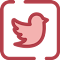 Item logo image for Tweets2PDF - Convert All Tweets to One PDF/EPUB