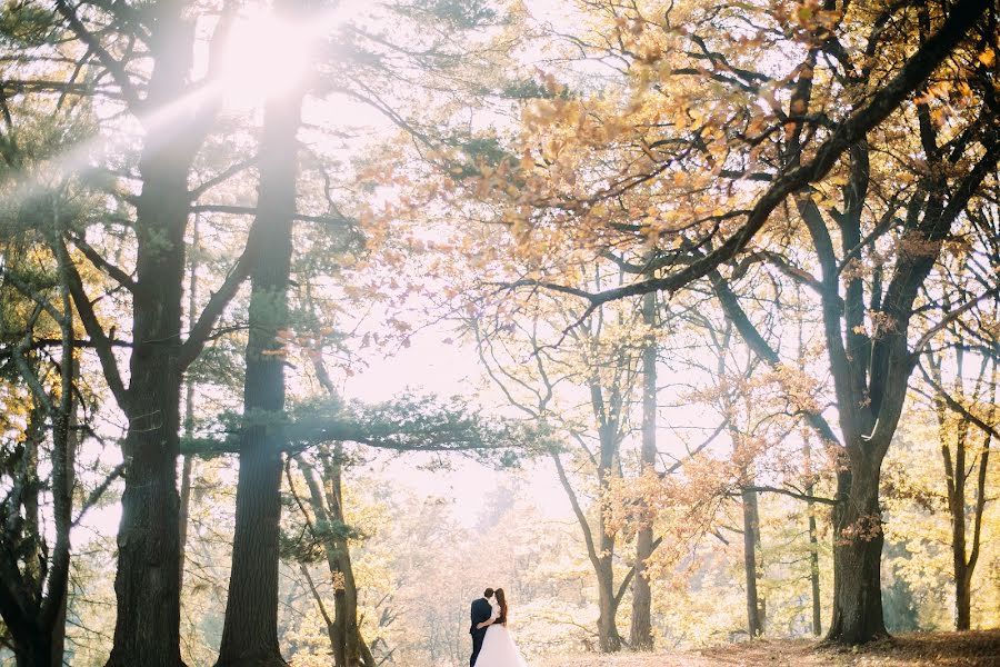 Fotógrafo de casamento Sergio Mazurini (mazur). Foto de 21 de dezembro 2015