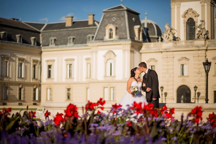 Fotografo di matrimoni Krisztian Balogh (baloghkrisztian). Foto del 3 marzo 2019