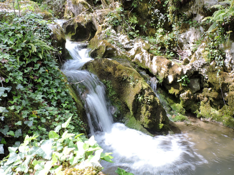 Bellezze naturali di Eleonora_Mos